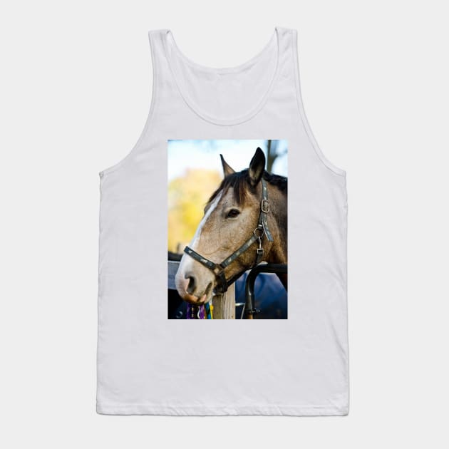 Beautiful Horse Tank Top by jaydee1400